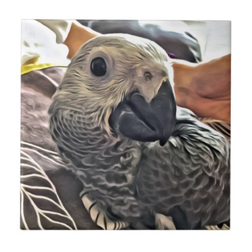 Baby Congo African Gray Parrot Tile