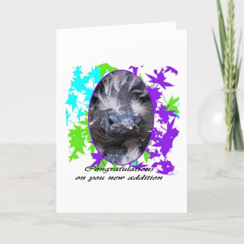 Baby Congratulations Congratulations baby Card