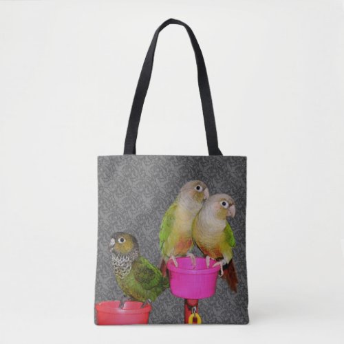 Baby Conure Parrots Animal  Tote Bag