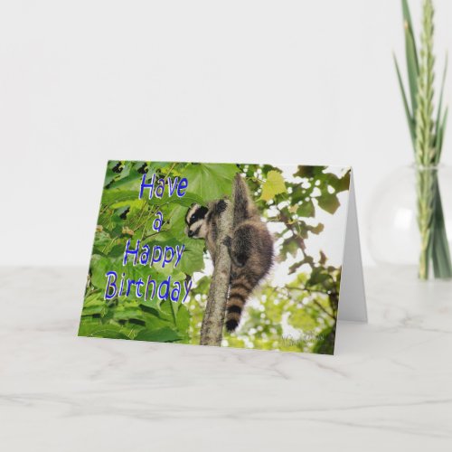 Baby Coon Bday wishes Card
