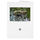 Baby Coot Cards (Back)