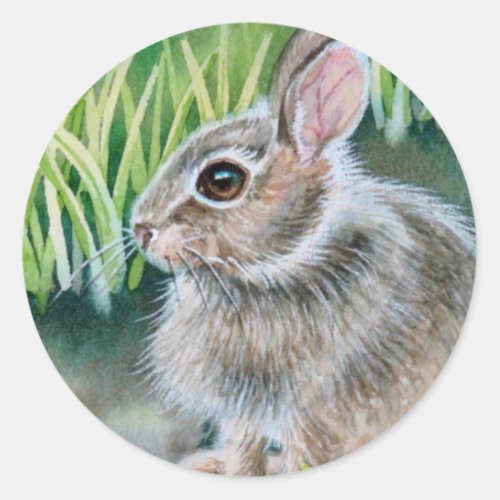 Baby Cottontail Bunny Rabbit Watercolor Art Classic Round Sticker