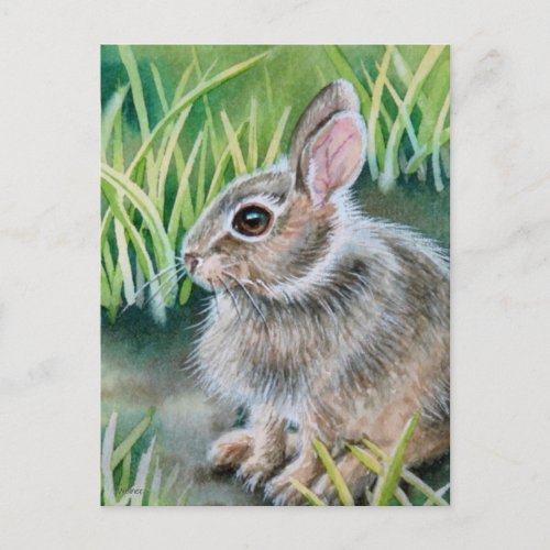 Baby Cottontail Bunny Rabbit Watercolor Art Postcard