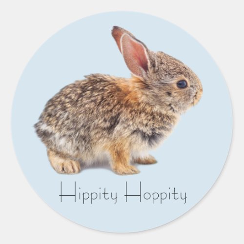 Baby Cottontail Rabbit Blue Classic Round Sticker