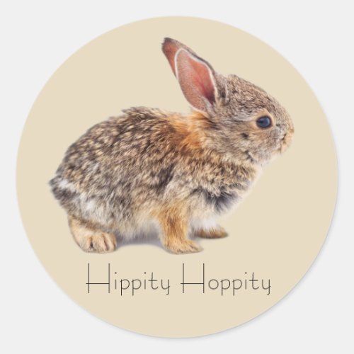 Baby Cottontail Rabbit Classic Round Sticker