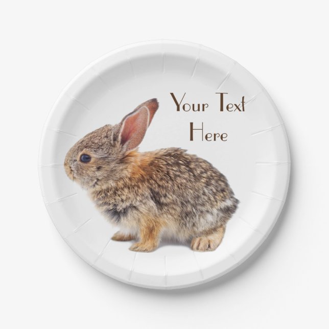 Baby Cottontail Rabbit Paper Plates (Front)