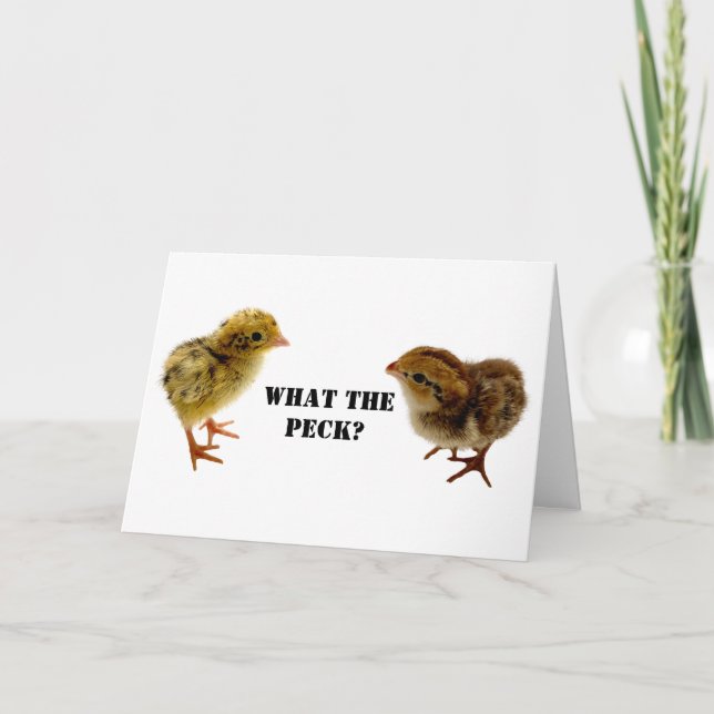 Baby Coturnix and bobwhite Quail Chicks Card (Front)