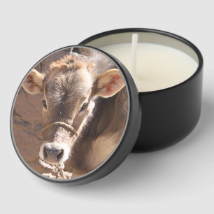 Baby Cow - Brown Baby Calf Close Up Face Label Mini Candle Favors