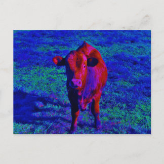 Baby Cow Purple grass Postcard