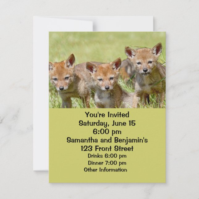 Baby Coyotes Photo Invitation (Front)