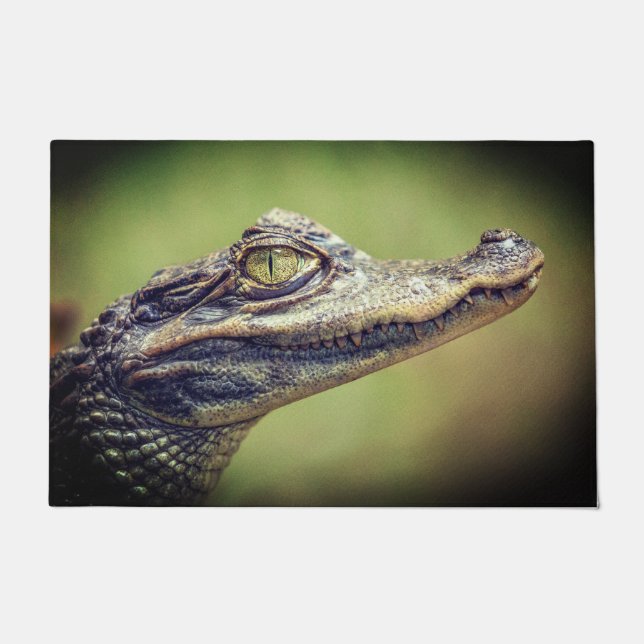Baby Crocodile Doormat (Front)