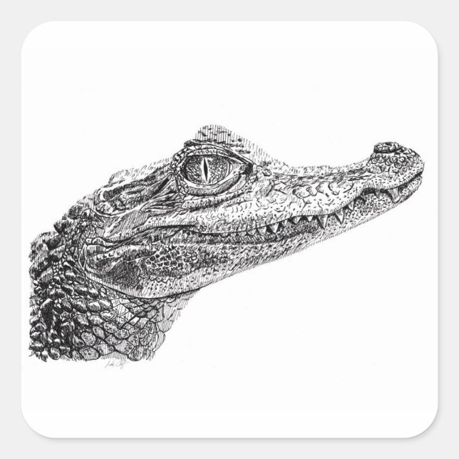 Baby Crocodile Ink Drawing Square Sticker (Front)