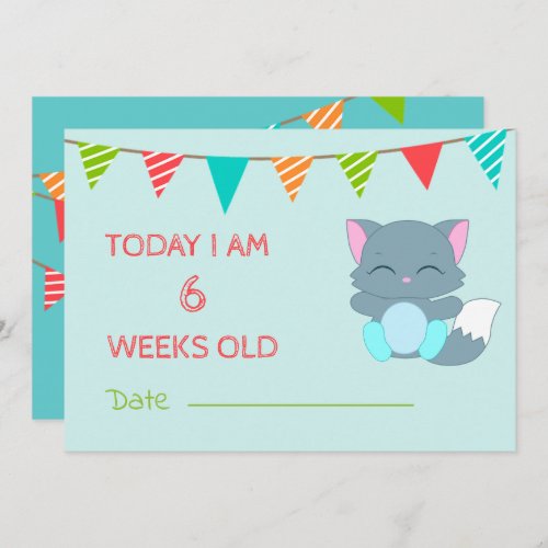 Baby Cute  Milestone Month Colorful Kitten Invitation