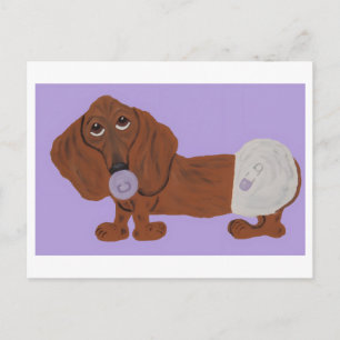 Baby Dachshund Announcement Postcard