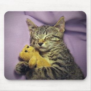 Baby Daisy Kitty Cat Kitten Sleeping w/ Teddy Bear Mouse Pad
