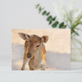 Baby Deer (Standing Front)