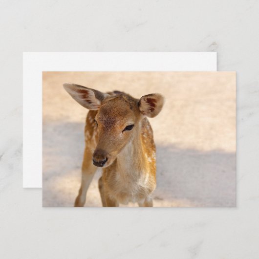 Baby Deer (Front/Back)