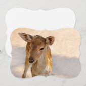 Baby Deer (Front/Back)