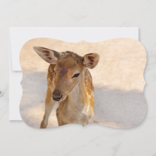 Baby Deer (Front)