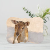Baby Deer (Standing Front)