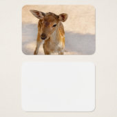 Baby Deer (Front & Back)