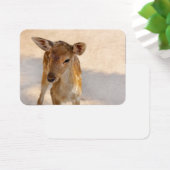 Baby Deer (Desk)