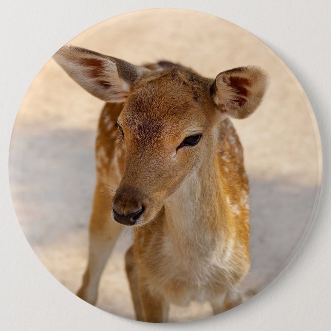 Baby Deer Button (Front)