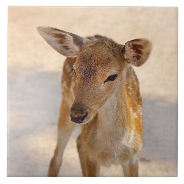 Baby Deer Ceramic Tile (Front)