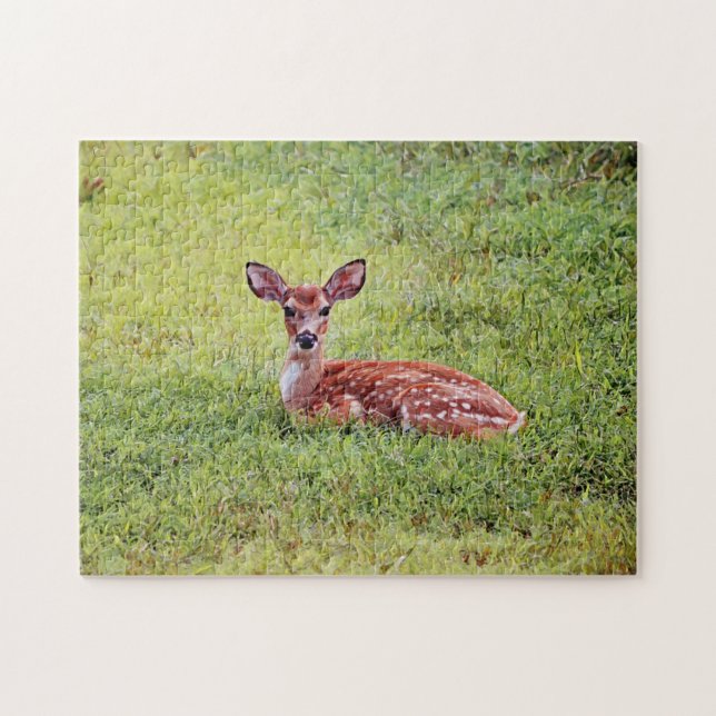 Baby Deer Cute Fawn Animal Art Puzzle (Horizontal)
