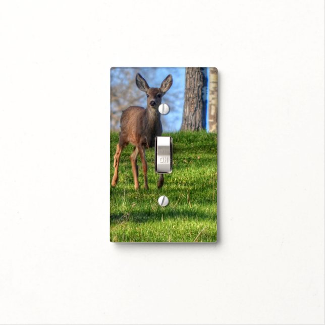 Baby Deer Fawn in Forest Wildlife Design Light Switch Cover (In Situ)