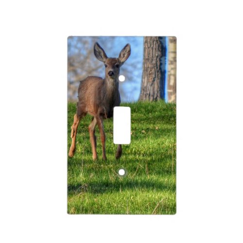 Baby Deer Fawn in Forest Wildlife Design Light Switch Cover