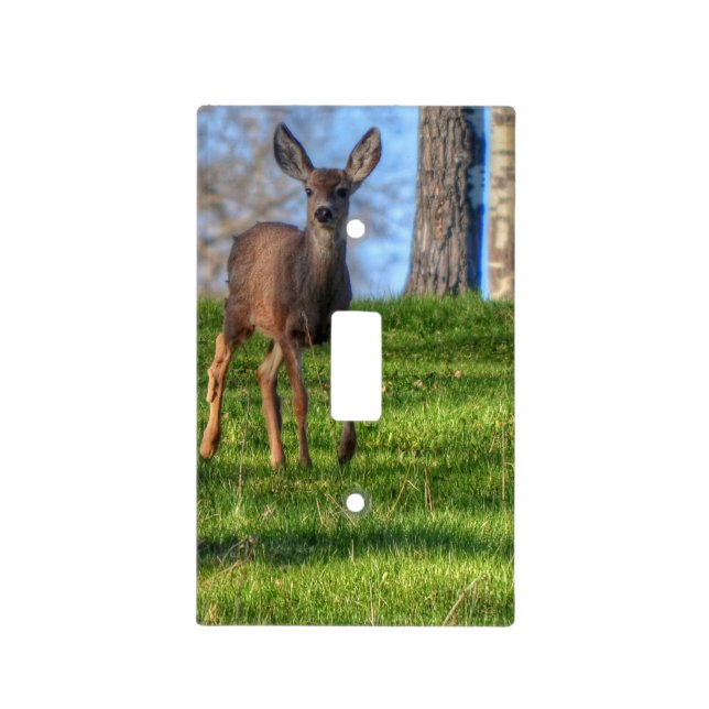 Baby Deer Fawn in Forest Wildlife Design Light Switch Cover (Front)