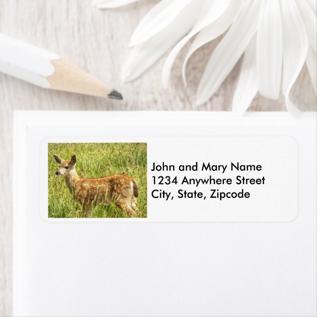 Baby Deer Fawn Nature Photo Return Address Label (Insitu)