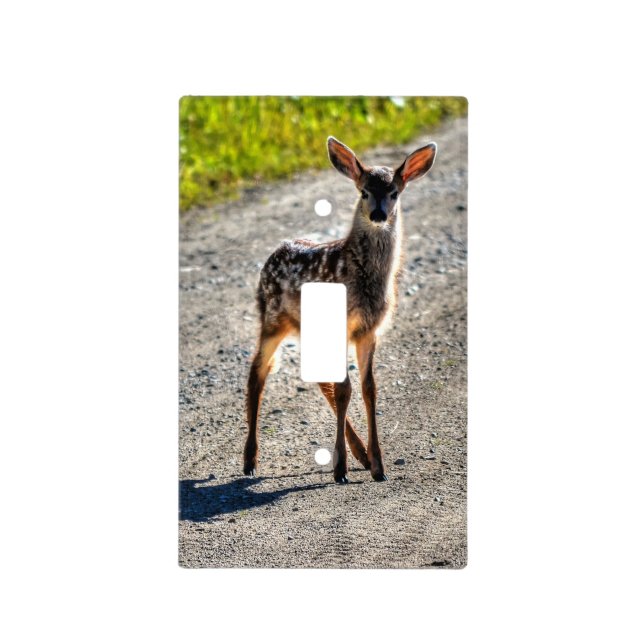 Baby Deer Fawn on Ranch Wildlife Design Light Switch Cover (Front)