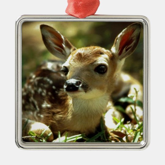 Baby Deer gifts Metal Ornament
