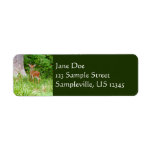 Baby Deer in the Woods Nature Photography Label