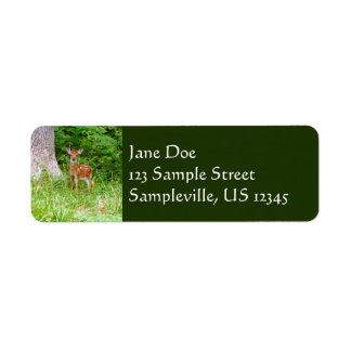 Baby Deer in the Woods Nature Photography Label