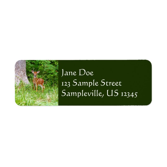 Baby Deer in the Woods Nature Photography Label (Front)