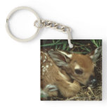 Baby Deer Keychain