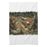 Baby Deer Kitchen Towel