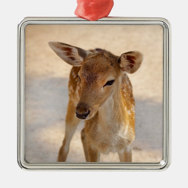 Baby Deer Metal Ornament (Front)