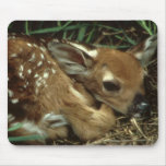 Baby Deer Mouse Pad