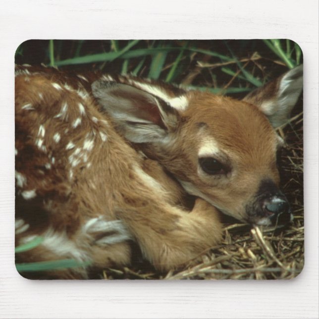 Baby Deer Mouse Pad (Front)