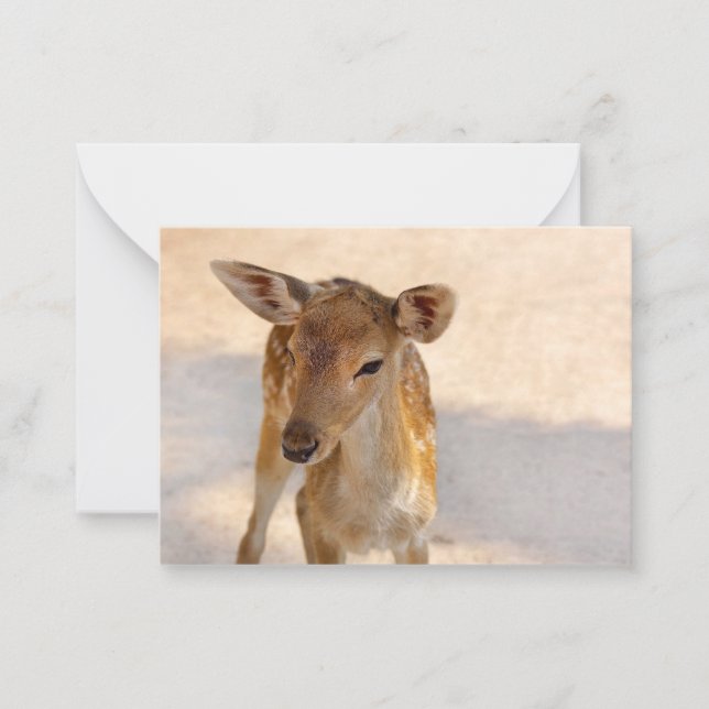 Baby Deer Note Card (Front)