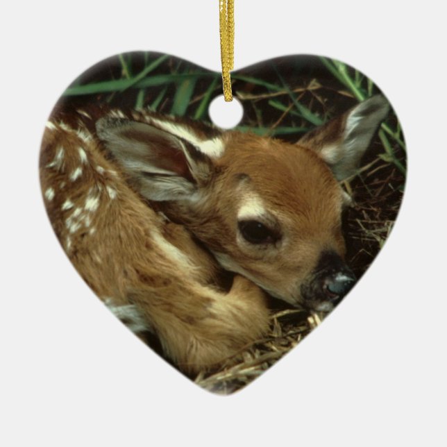 Baby Deer  Ornament (Front)