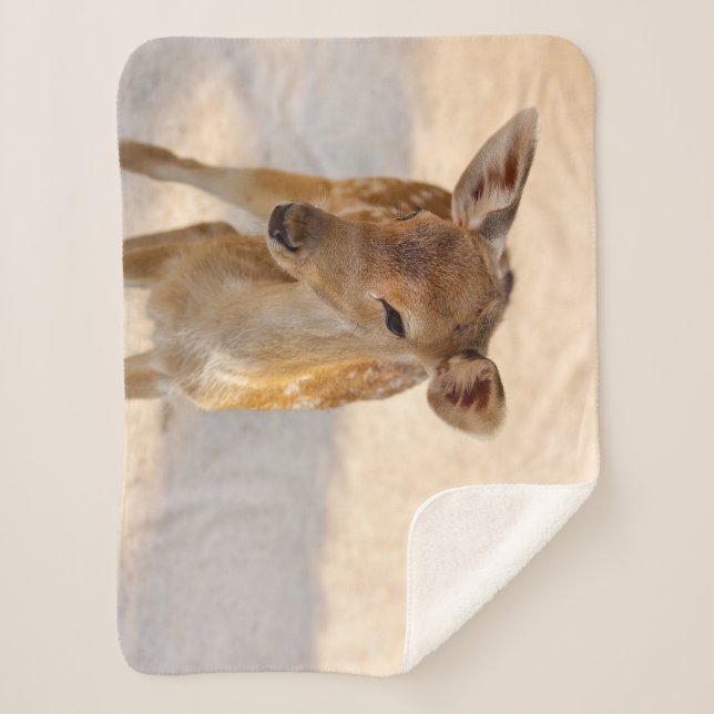 Baby Deer Sherpa Blanket (Front)