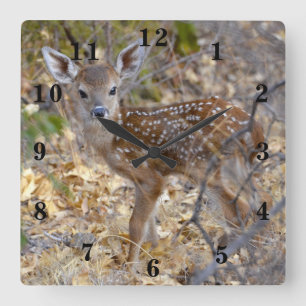 Baby Deer Square Wall Clock