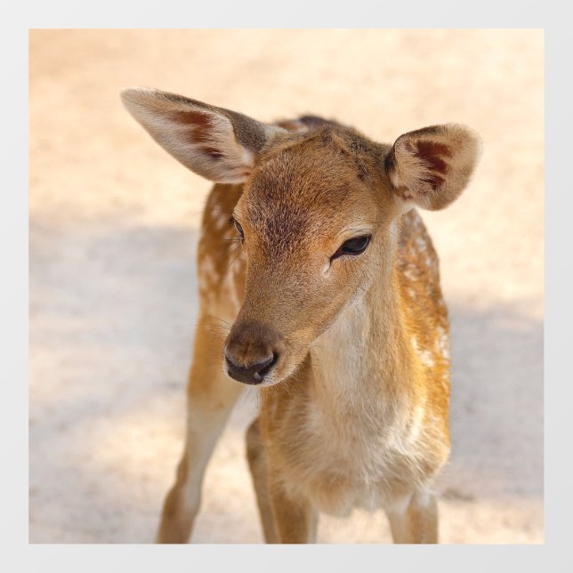 Baby Deer Window Cling (Sheet)