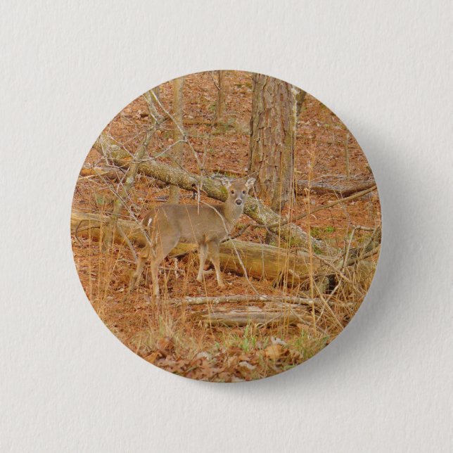 Baby Deer's First  winter Button (Front)