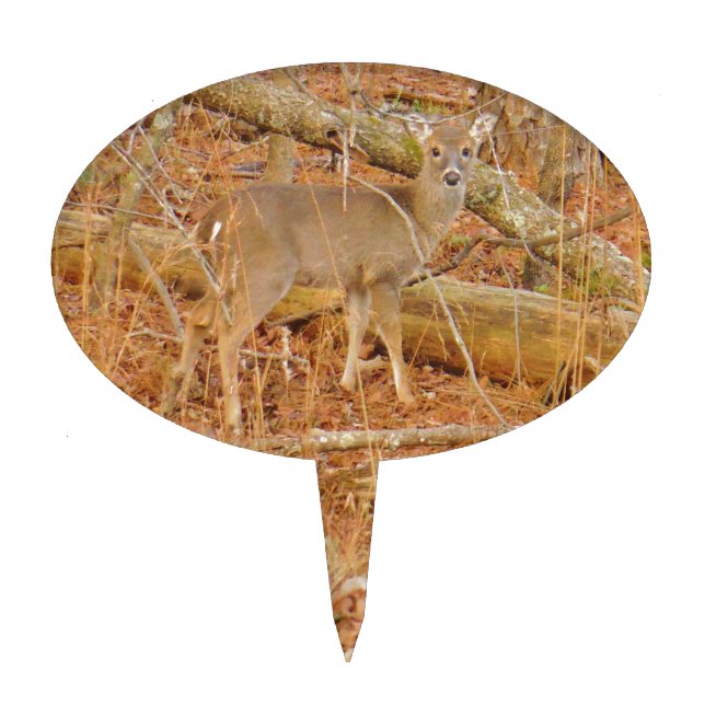 Baby Deer's First  winter Cake Topper (Front)